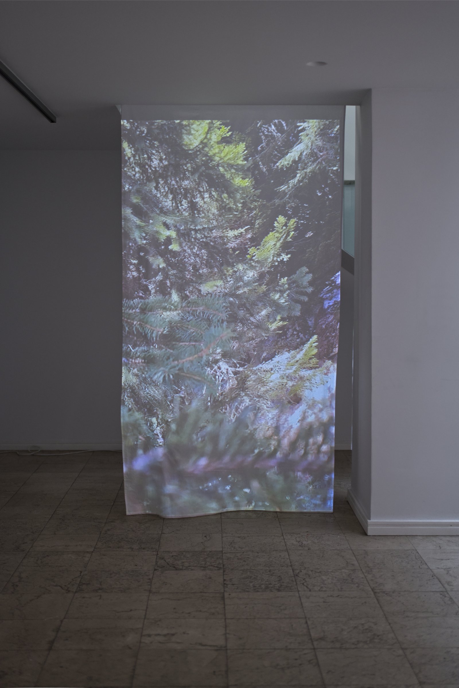 От перспективата на вятъра